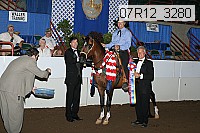 07r12_3280 proof