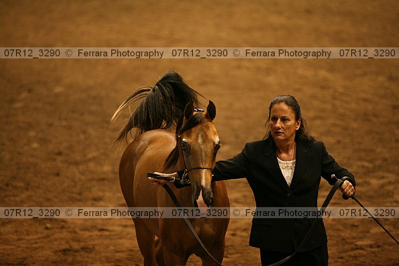 Proof 07r12_3290