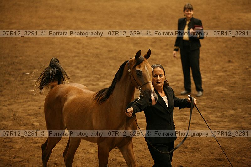 Proof 07r12_3291