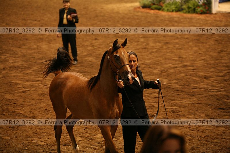 Proof 07r12_3292