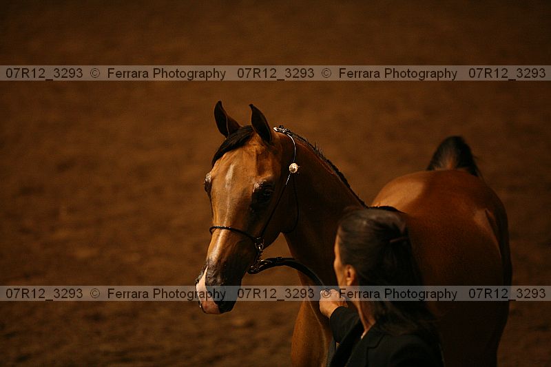Proof 07r12_3293