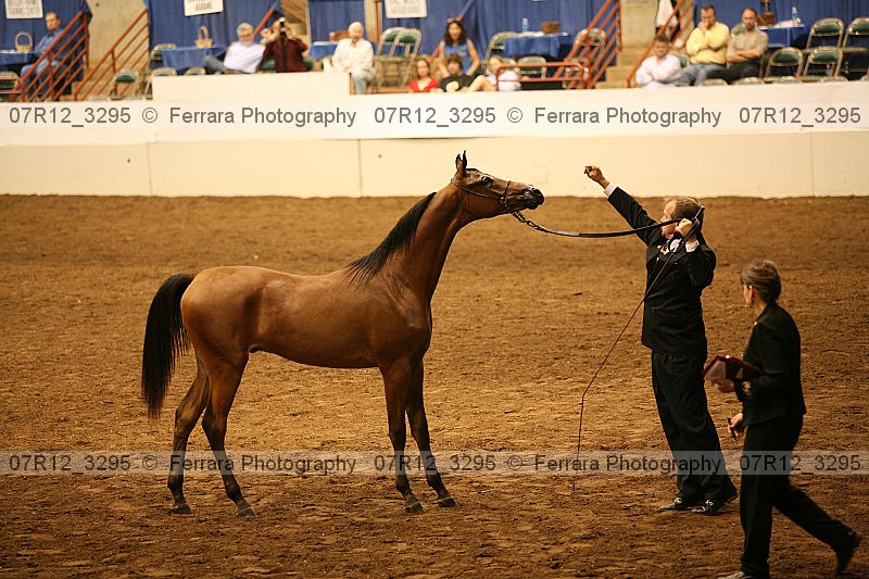 Proof 07r12_3295