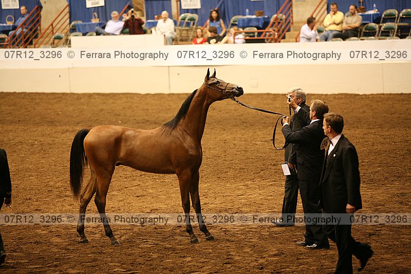 Proof 07r12_3296
