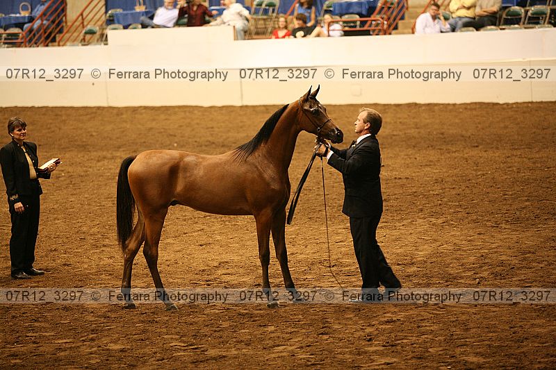 Proof 07r12_3297