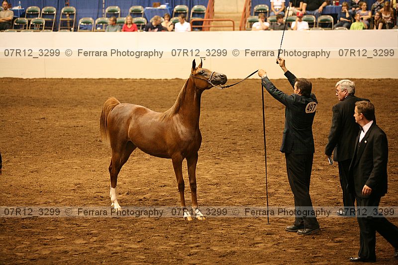 Proof 07r12_3299