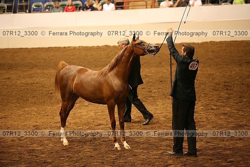 Proof 07r12_3300