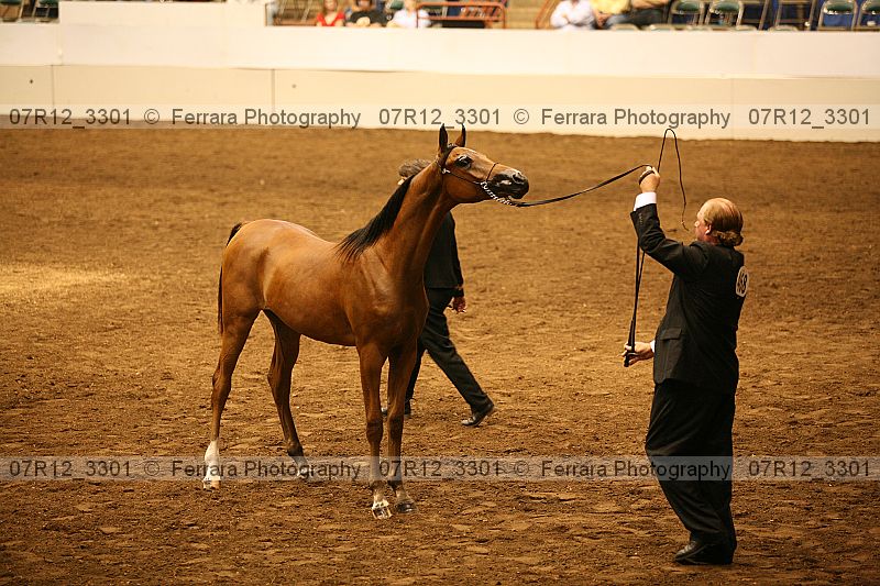 Proof 07r12_3301