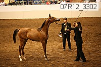 07r12_3302 proof