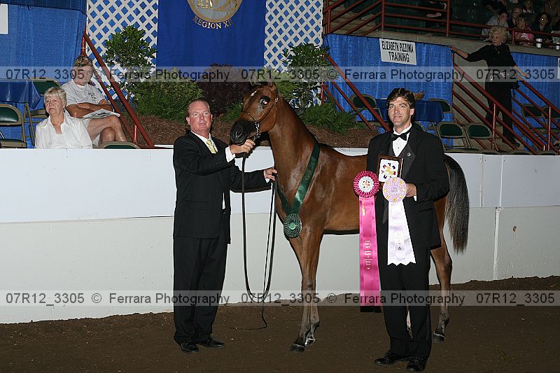Proof 07r12_3305