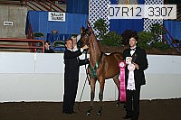 07r12_3307 proof