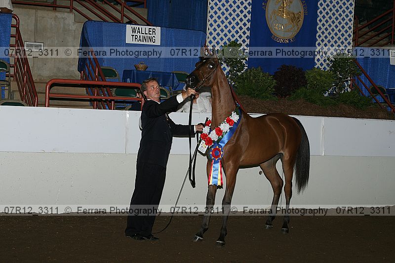 Proof 07r12_3311