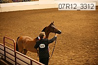 07r12_3312 proof