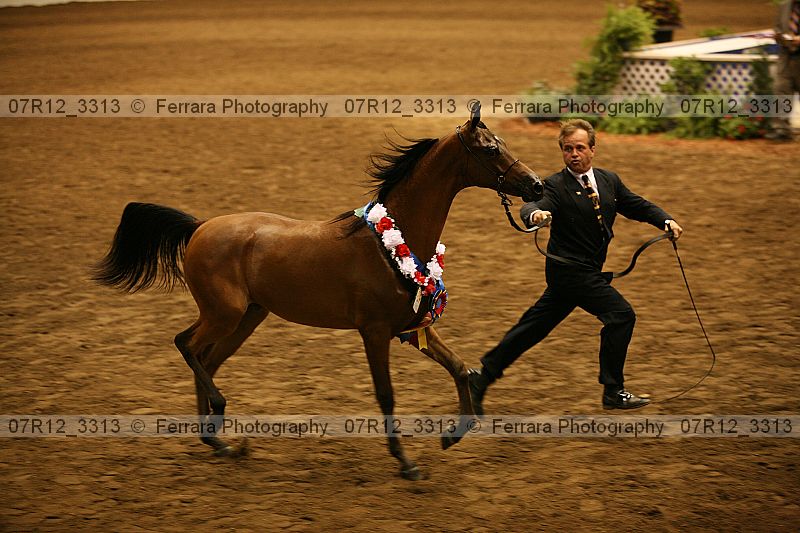 Proof 07r12_3313