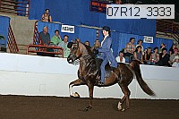 07r12_3333 proof