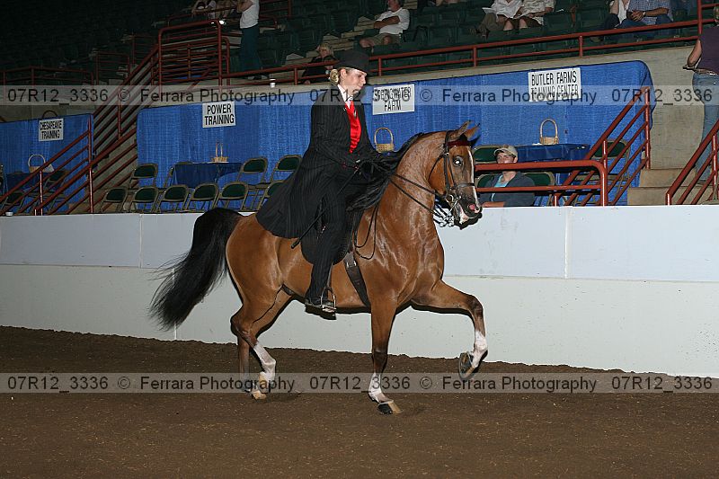 Proof 07r12_3336