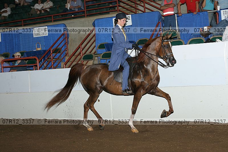Proof 07r12_3337