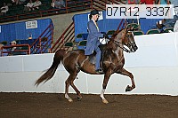 07r12_3337 proof
