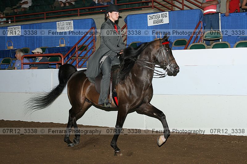 Proof 07r12_3338