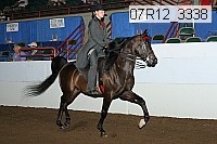 07r12_3338 proof