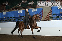 07r12_3339 proof