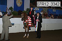 07r12_3342 proof