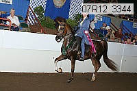 07r12_3344 proof