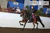 07r12_3345 proof