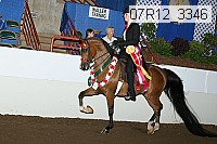 07r12_3346 proof