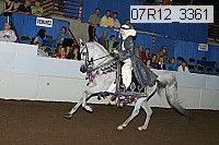 07r12_3361 proof