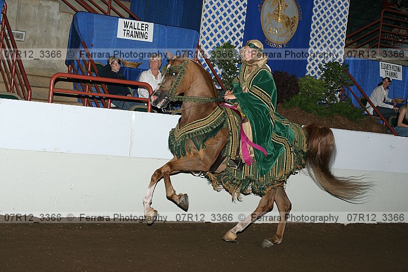 Proof 07r12_3366