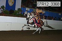 07r12_3368 proof