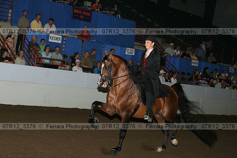 Proof 07r12_3376