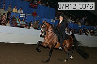 07r12_3376 proof