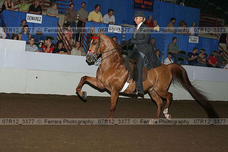 Proof 07r12_3377