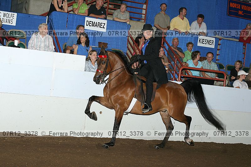 Proof 07r12_3378