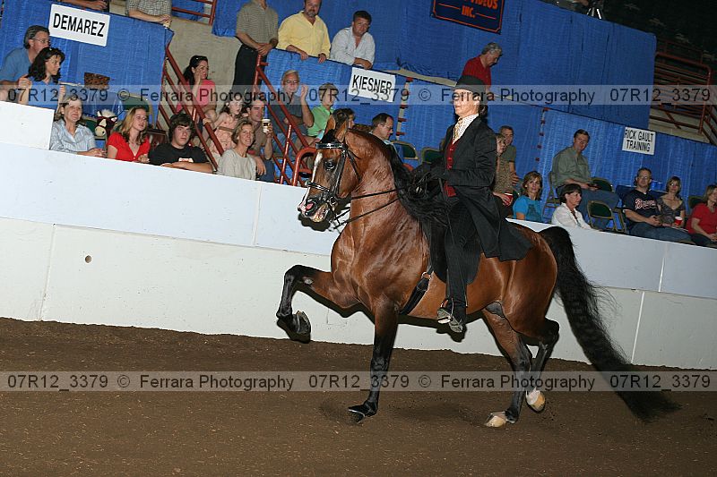 Proof 07r12_3379