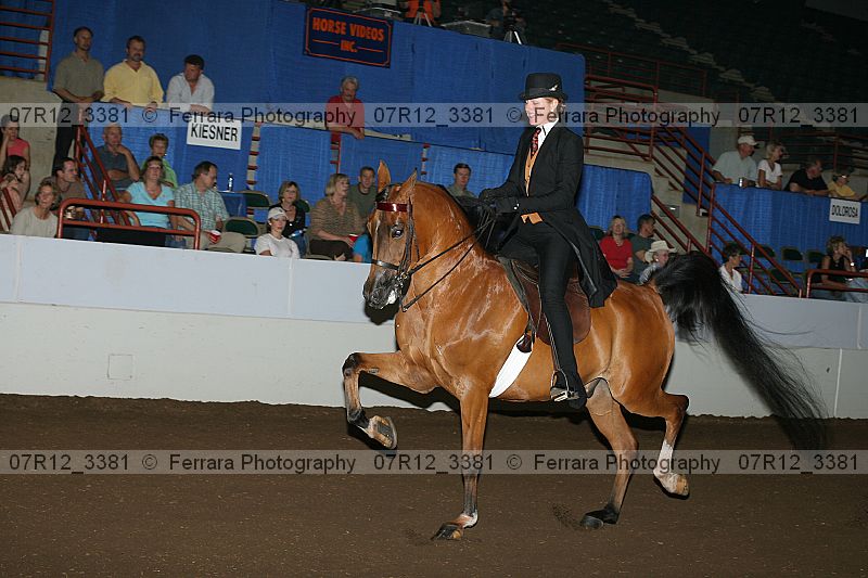 Proof 07r12_3381