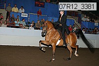 07r12_3381 proof