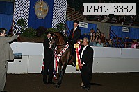 07r12_3382 proof
