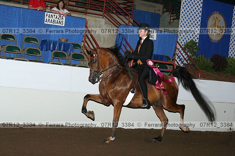 Proof 07r12_3384