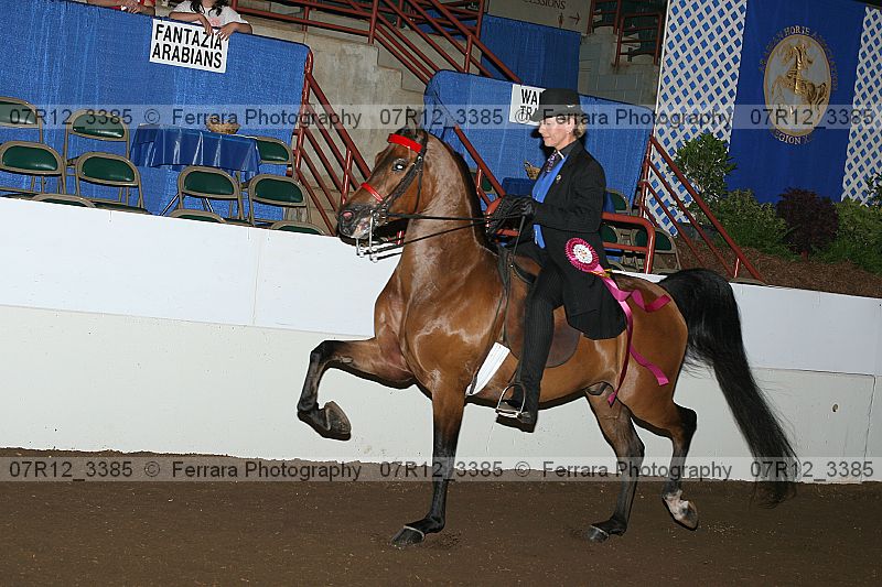 Proof 07r12_3385