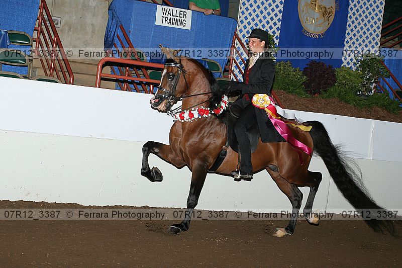 Proof 07r12_3387