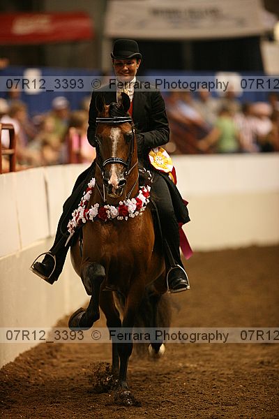 Proof 07r12_3393