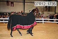 07r12_1735 proof