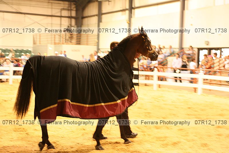 Proof 07r12_1738