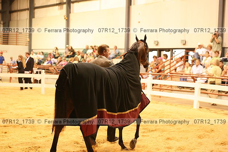 Proof 07r12_1739