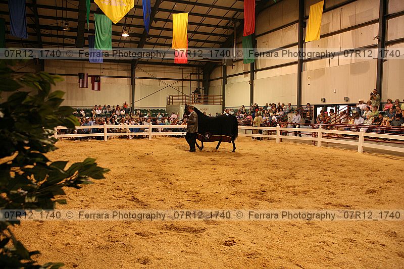 Proof 07r12_1740