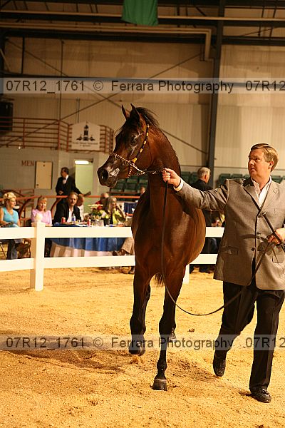 Proof 07r12_1761