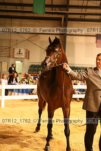 Proof 07r12_1762