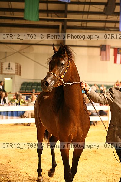 Proof 07r12_1763
